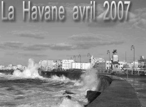 havane-2007-15a