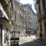 rue6